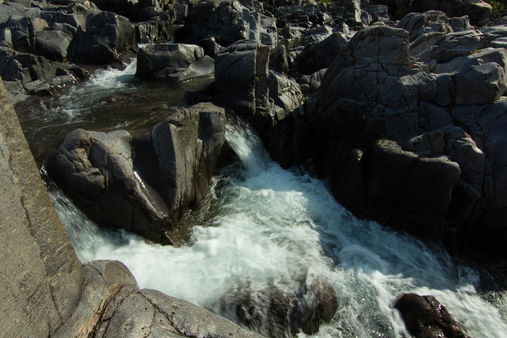 Shepherd Mountain Inn & Suites Pilot Knob 部屋 写真